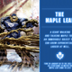 Illustration for article titled Checking Back In With Those Ridiculous NHL Superheroes